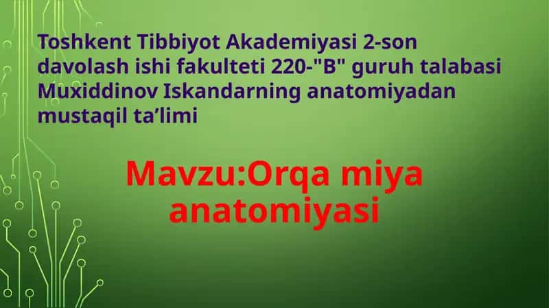 Orqamiyaanatomiyasi