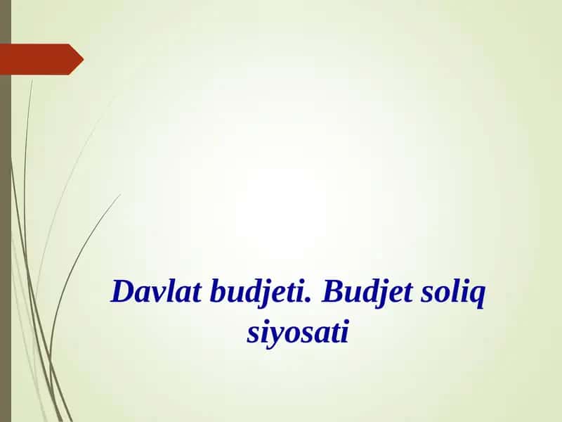 Davlat budjeti. Budjet soliq siyosati