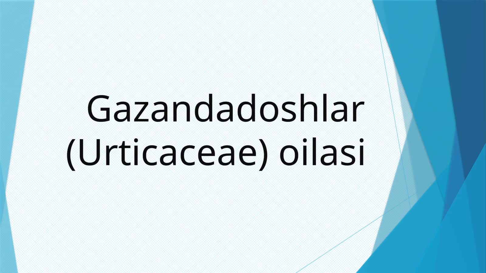 Gazandadoshlar(Urticaceae)oilasi