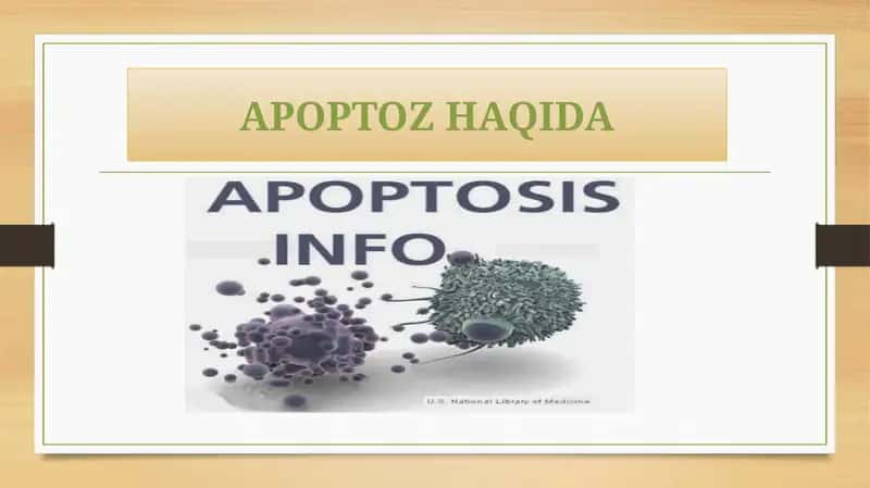 Apoptozhaqida