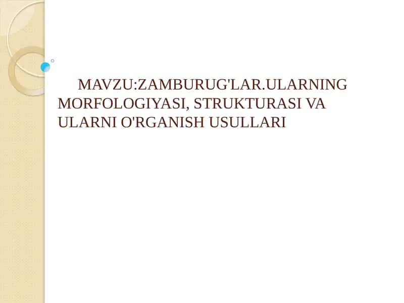 ZAMBURUG'LAR.ULARNING MORFOLOGIYASI, STRUKTURASI VA ULARNI O'RGANISH USULLARI