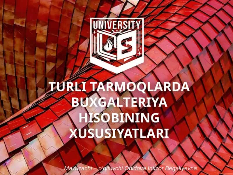 TURLI TARMOQLARDA BUXGALTERIYA HISOBINING XUSUSIYATLARI
