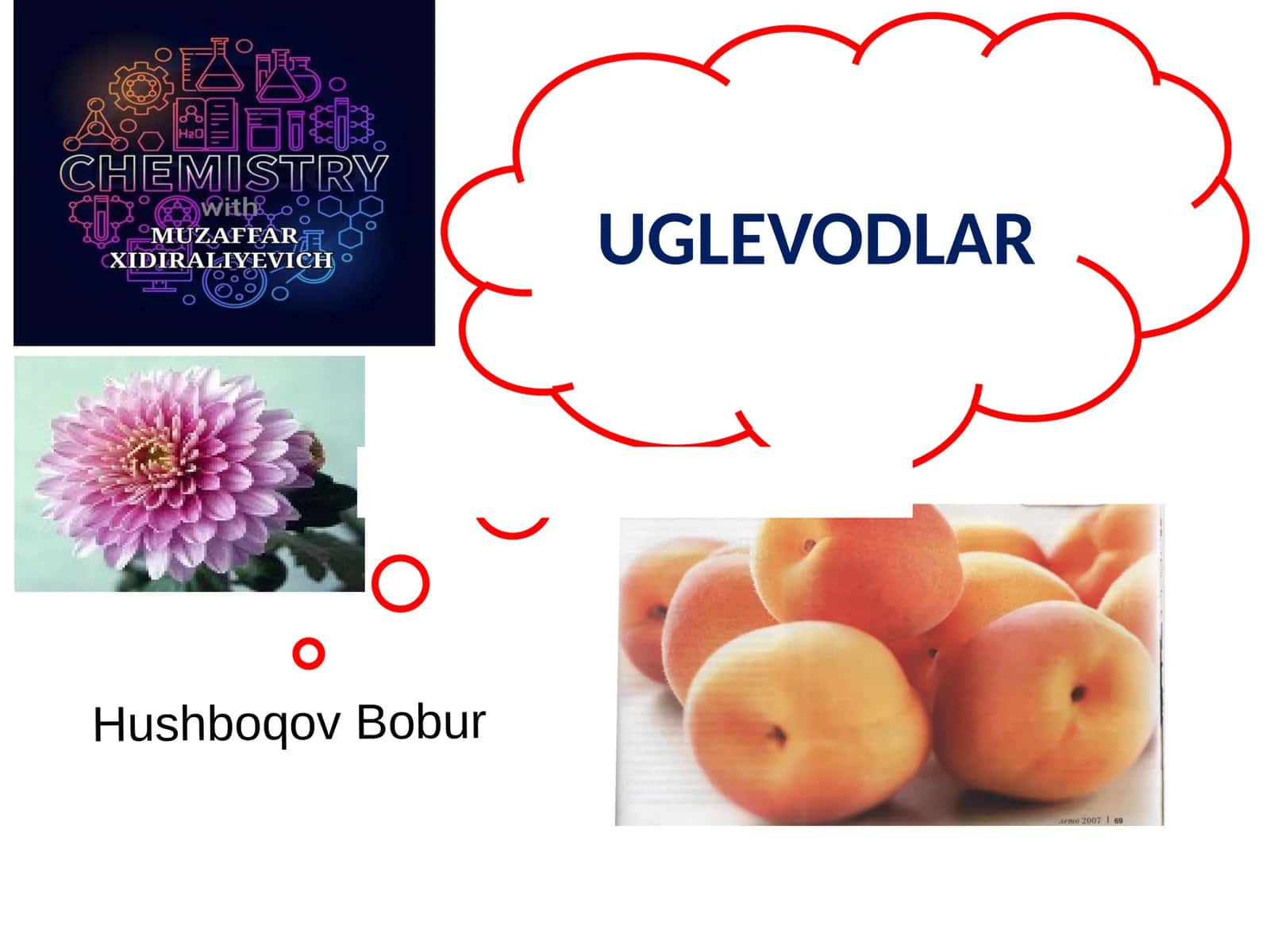Uglevodlar haqida