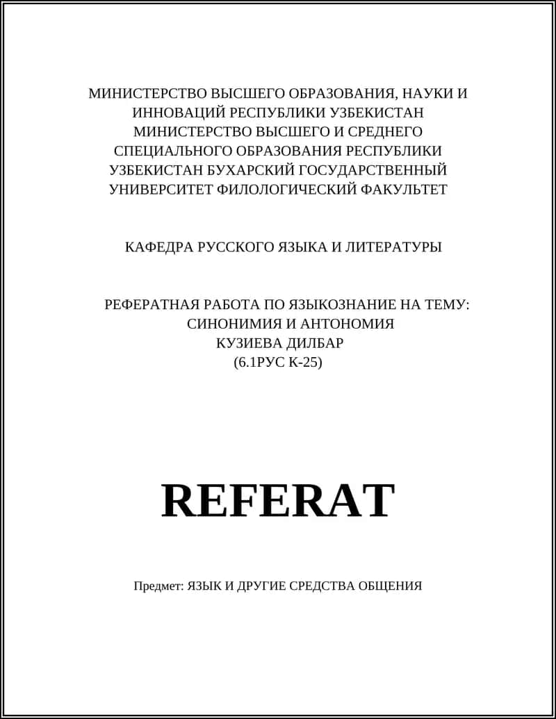 Реферат по языкознанию