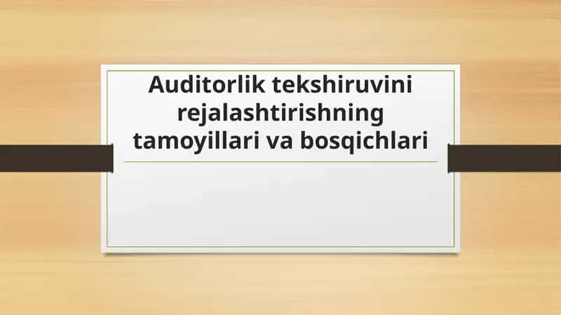 Auditorlik tekshiruvini rejalashtirishning tamoyillari va bosqichlari