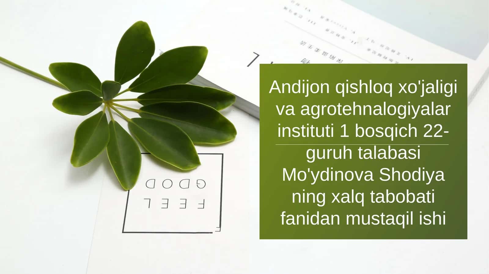 Yaponsaforasi