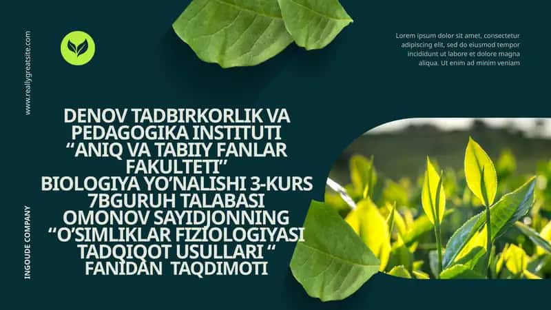 O'simliklarni qurg‘oqchilikka chidamliligi