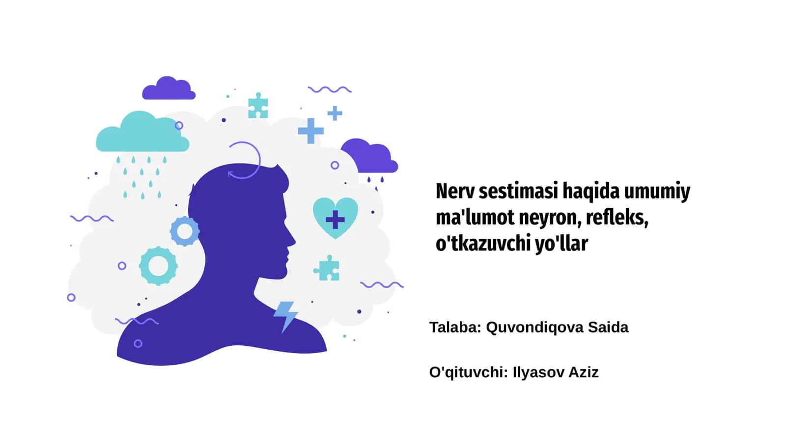 Nerv Sistemasi haqida umumiy ma'lumot