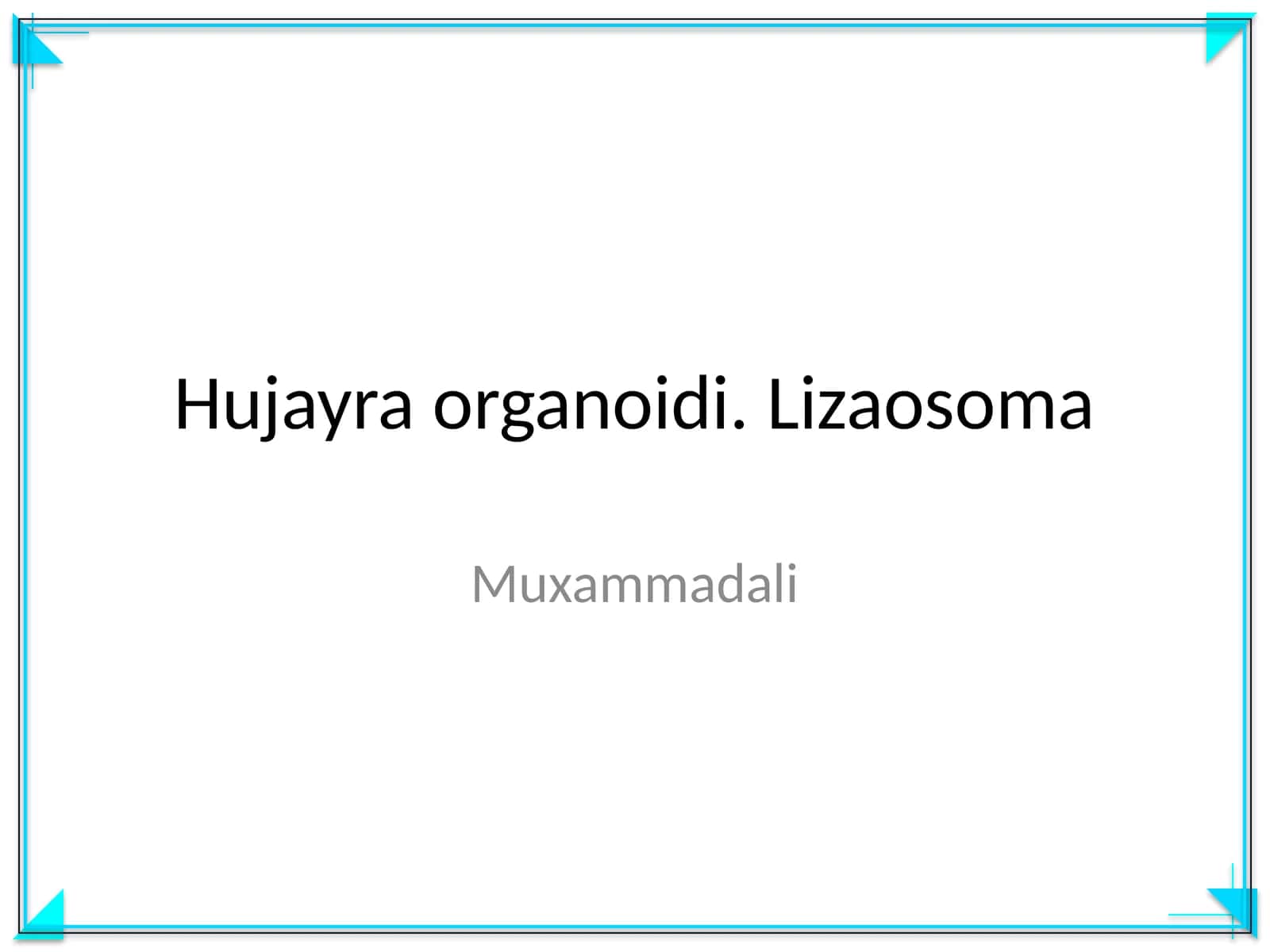 Hujayra organoidi. Lizaosoma