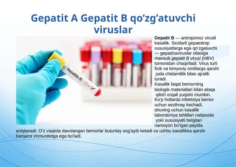 Gepatit A Gepatit B qo’zg’atuvchi viruslar