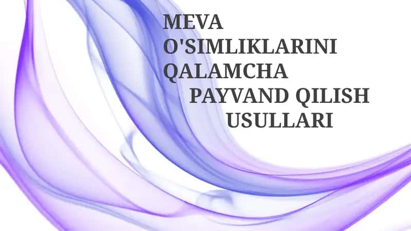 MEVA O'SIMLIKLARINI QALAMCHA PAYVAND QILISH USULLARI