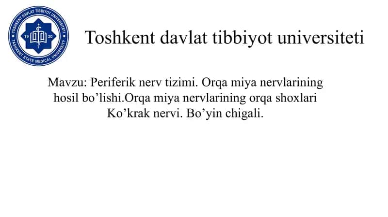Orqa miya nervlari