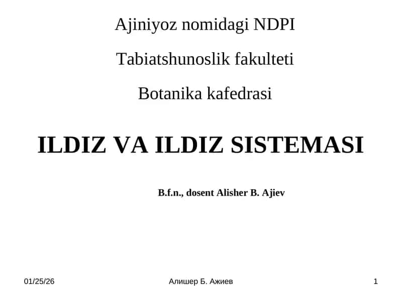ILDIZ VA ILDIZ SISTEMASI