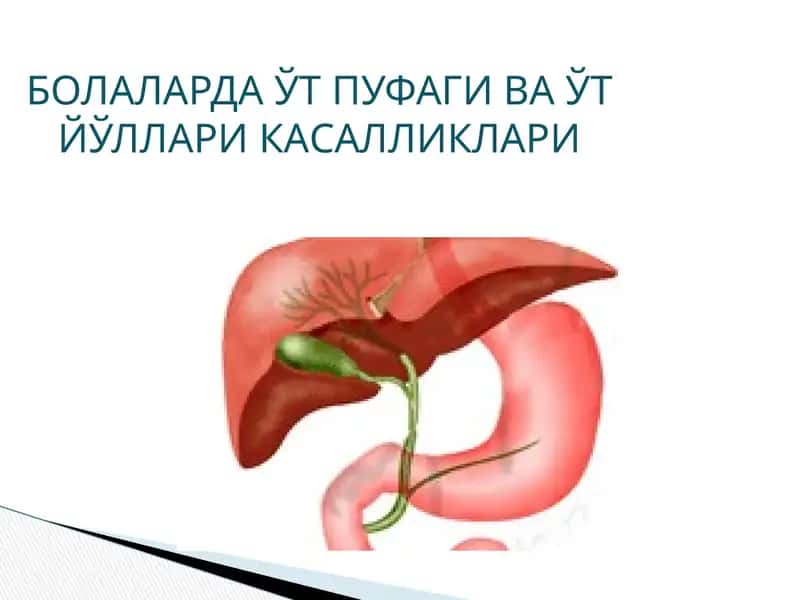 Ўт пуфаги ва Ўт йўллари касалликлари