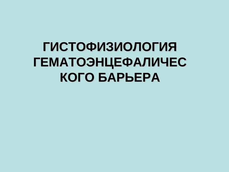 Гистофизиология гематоэнцефалического барьера