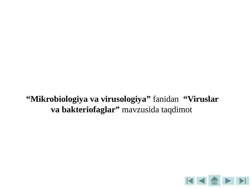 Viruslar va Bakteriofaglar