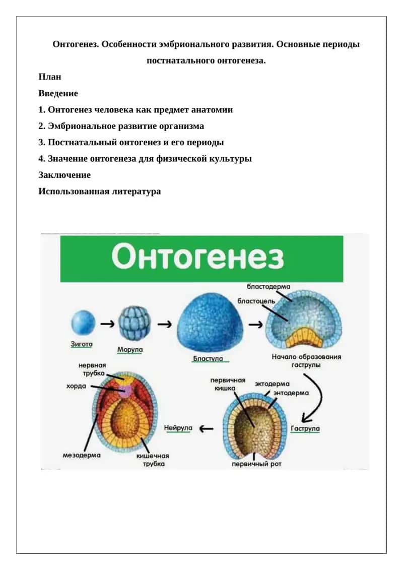 Онтогенез. Особенности эмбрионального развития. Основные периоды постнатального онтогенеза