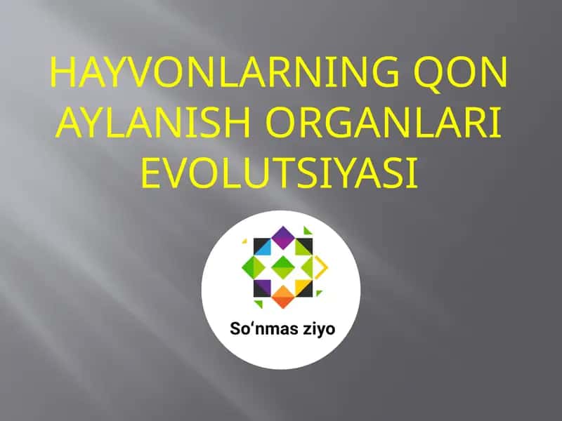 HAYVONLARNING QON AYLANISH ORGANLARI EVOLUTSIYASI