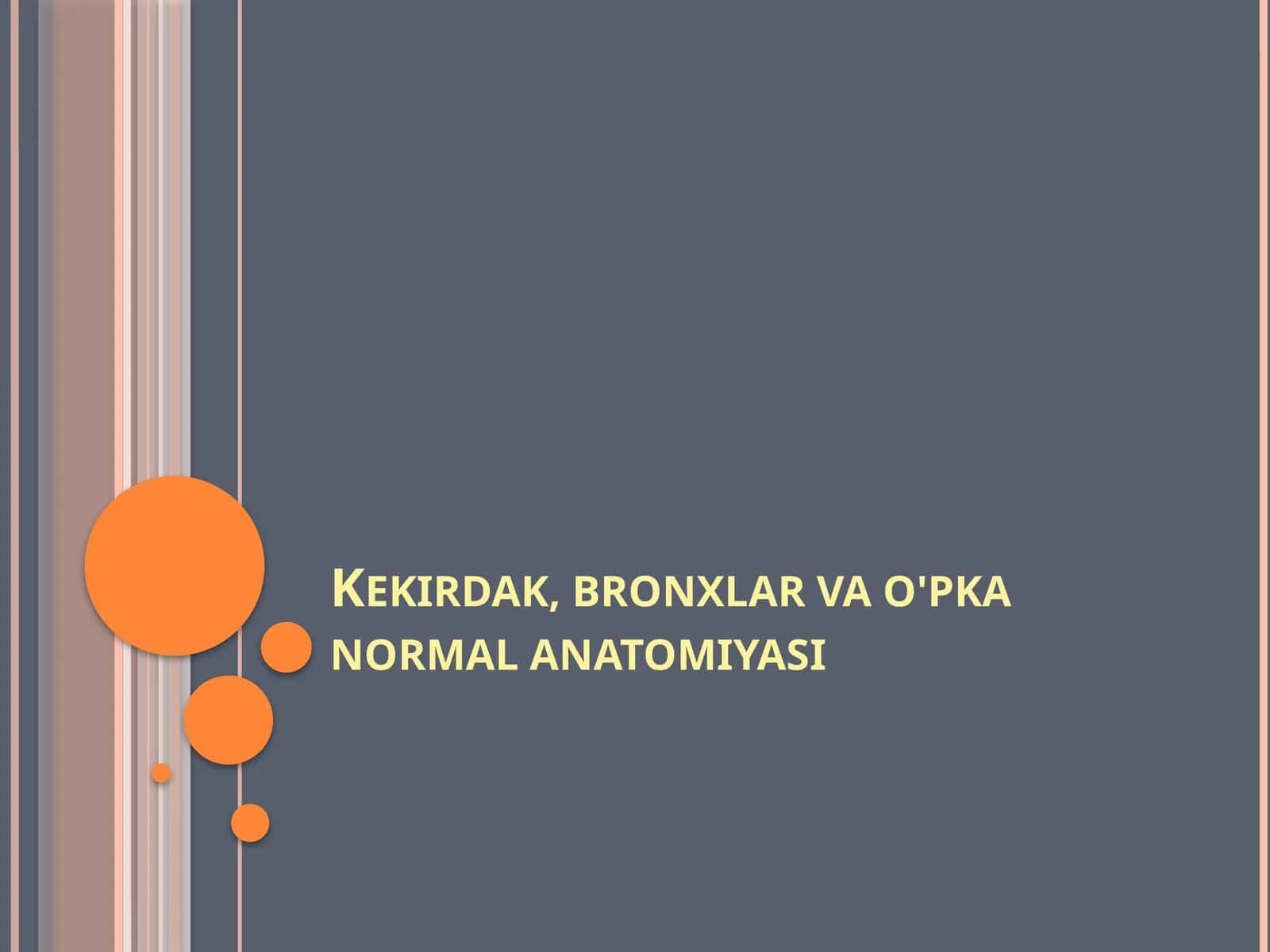Kekirdak, bronxlar va o'pka normal anatomiyasi
