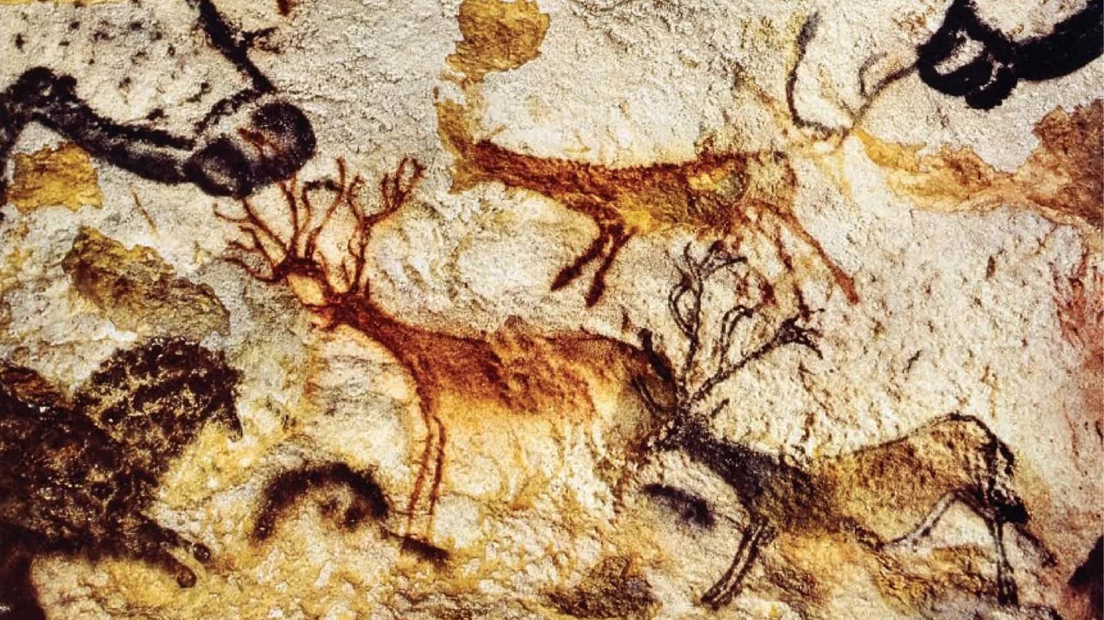 Homo sapiensEVOLYUTSIYASI