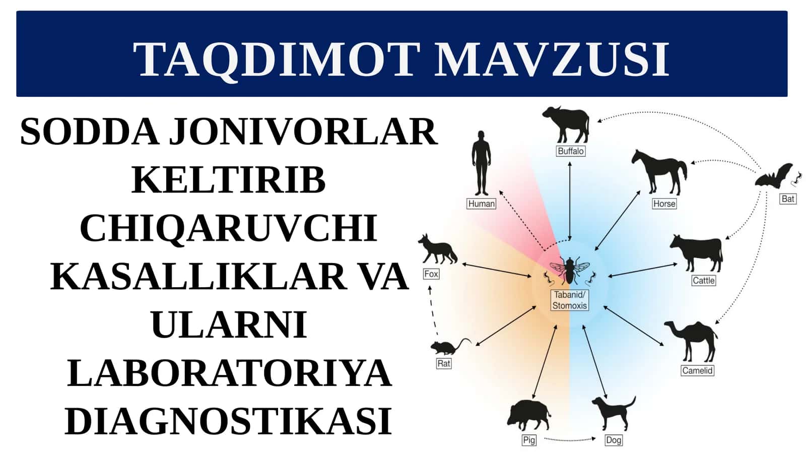 SODDA JONIVORLAR KELTIRIB CHIQARUVCHI KASALLIKLAR VA ULARNI LABORATORIYA DIAGNOSTIKASI