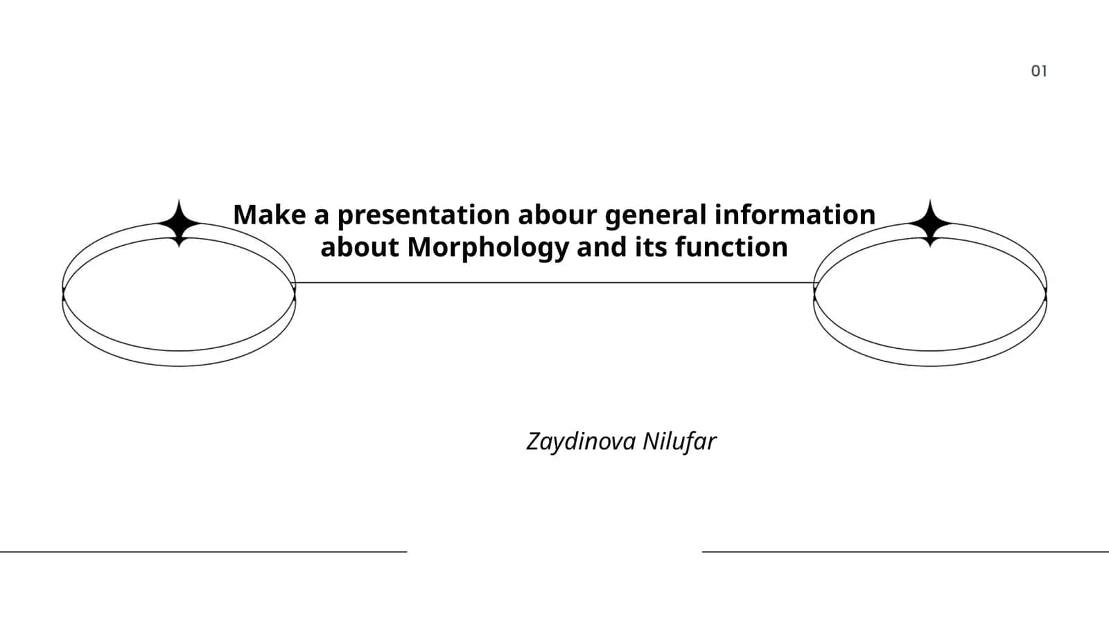 General Information about Morphology