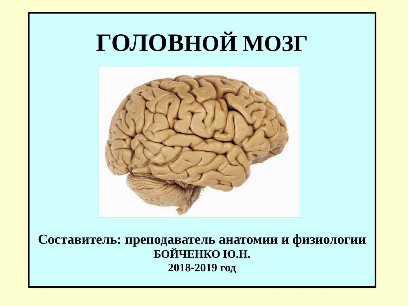 ГОЛОВНОЙ МОЗГ
