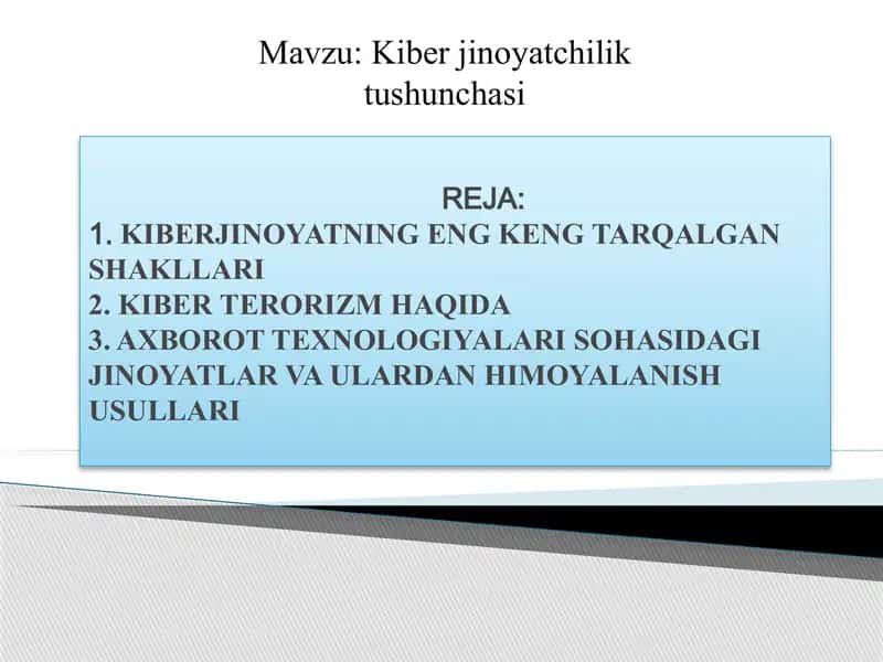Kiber jinoyatchilik tushunchasi