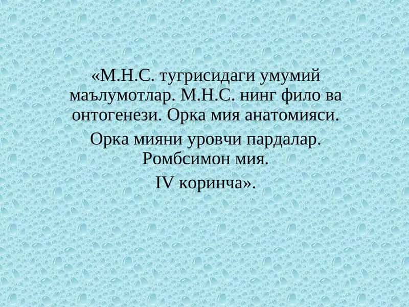 М.Н.С. тугрисидаги умумий маълумотлар
