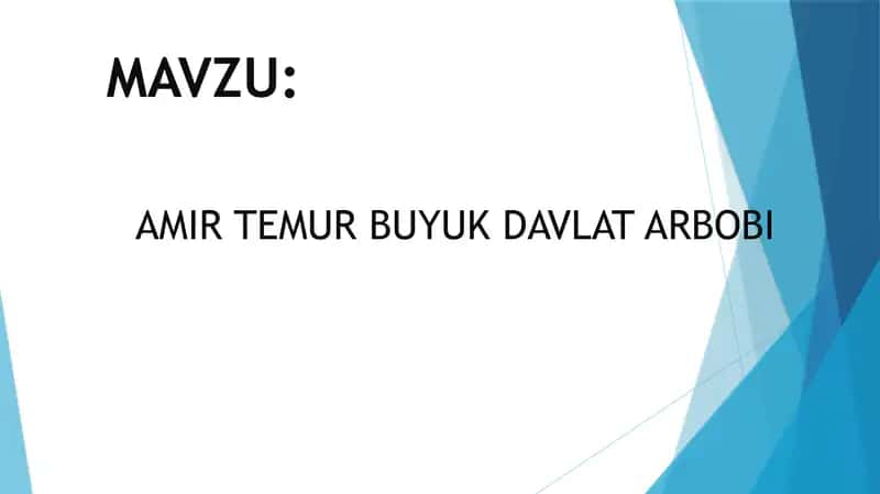 AMIR TEMUR