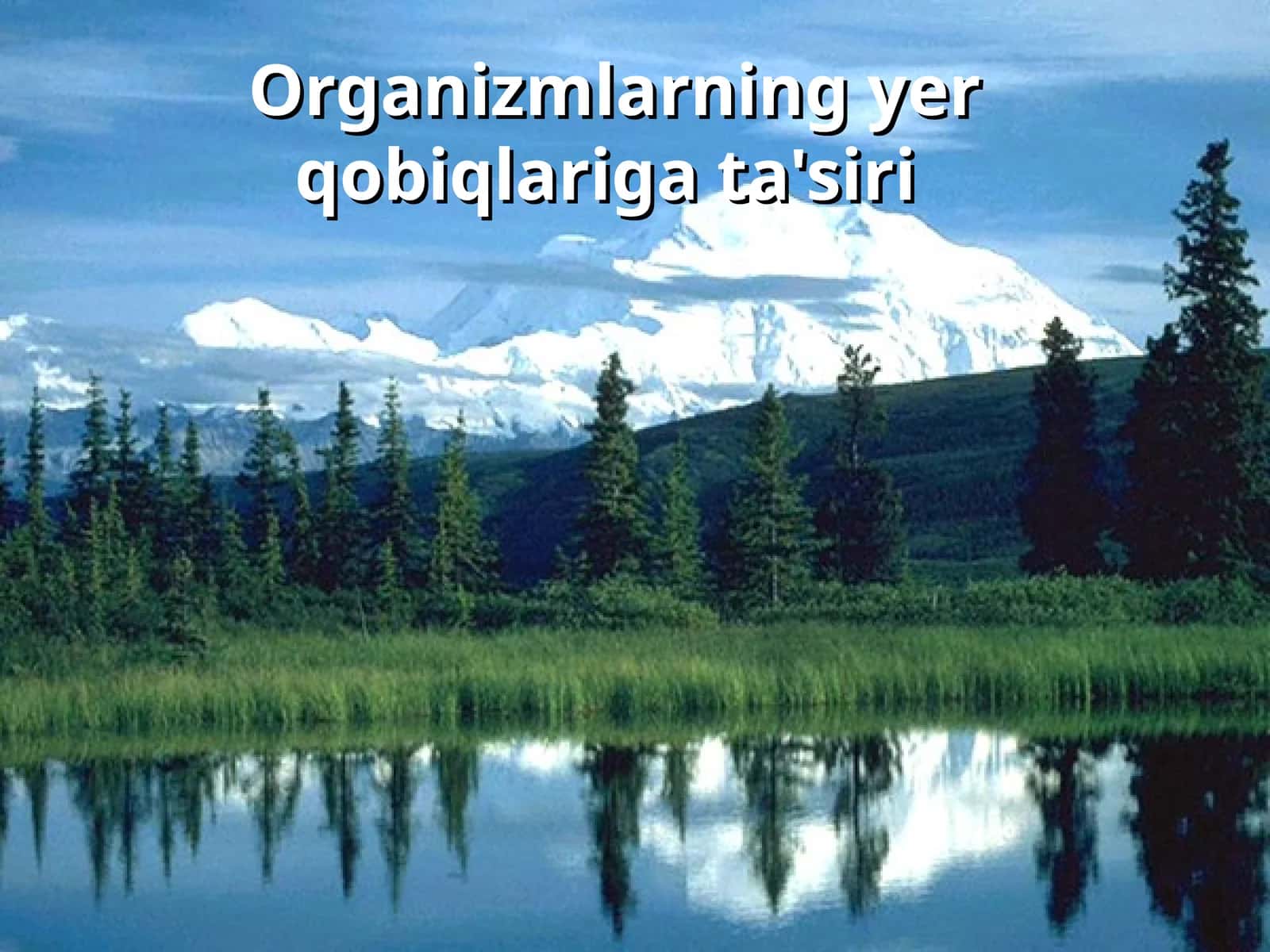Organizmlarning yer qobiqlariga ta'siri