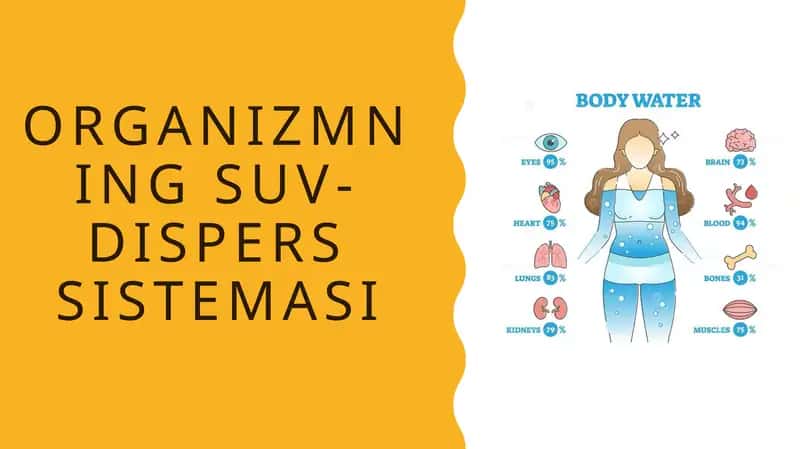 Organizmning suv-dispers sistemasi
