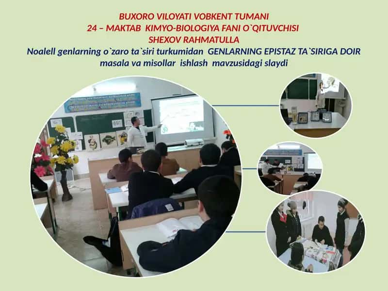 Genlarning Epistaz Ta'siri