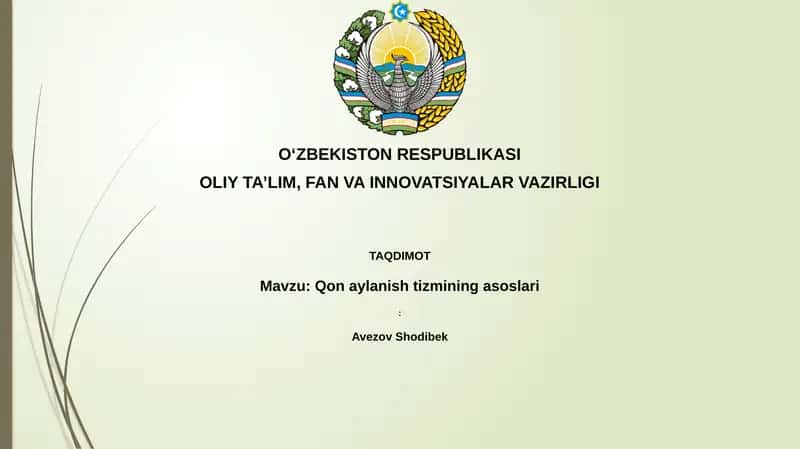 Qon aylanish tizimining asoslari
