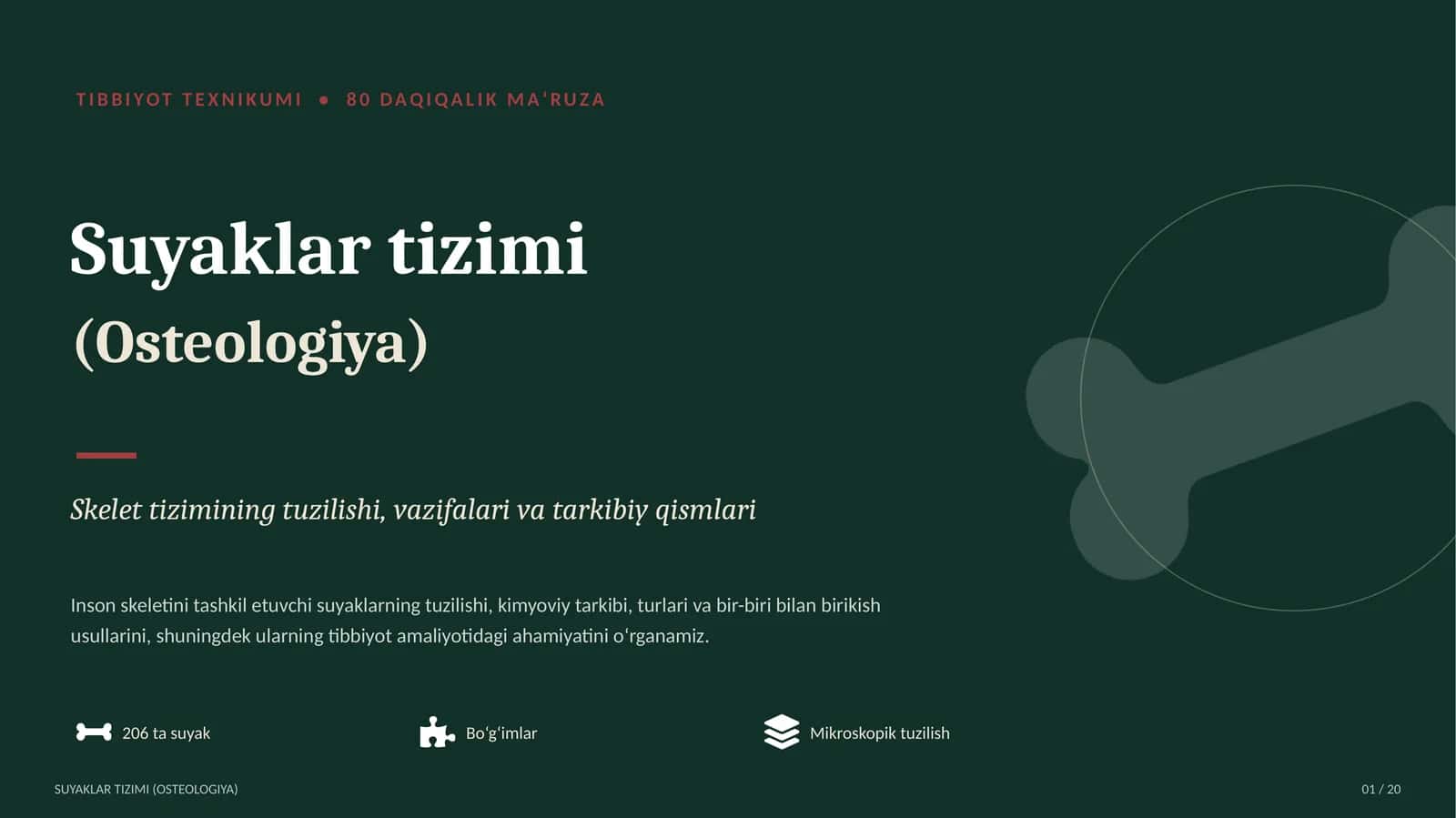 Tibbiyot Texnikumi - Suyaklar tizimi (Osteologiya)