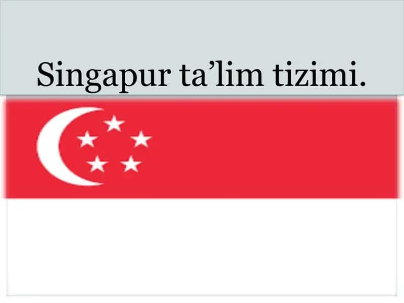 Singapurta’limtizimi