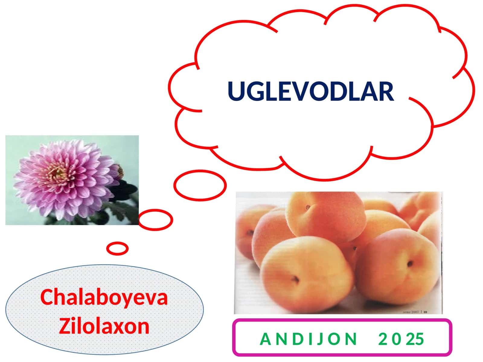UGLEVODLAR
