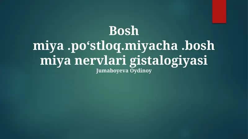 Bosh miya.po‘stloq.miyacha.bosh miya nervlari gistalogiyasi