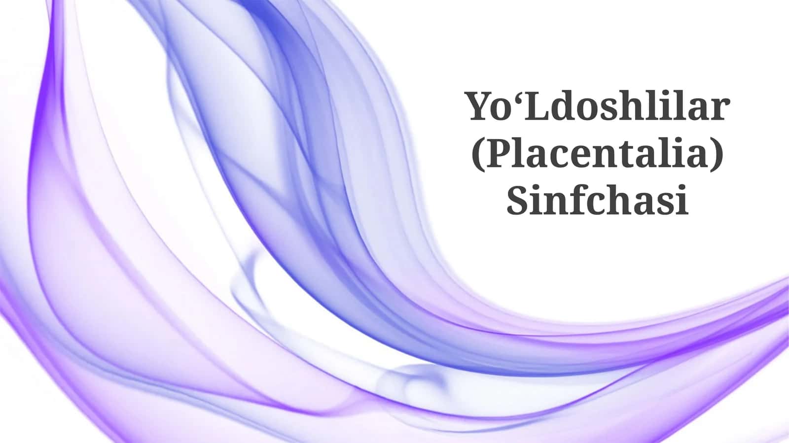 Sutemizuvchilar (Plasentaliya) Sinfchasi