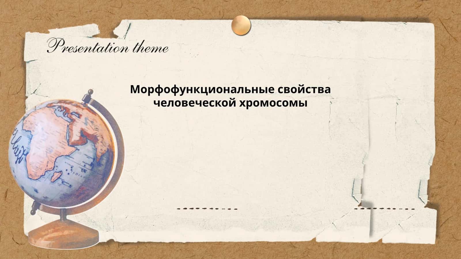 Морфофункциональные свойства человеческой хромосомы