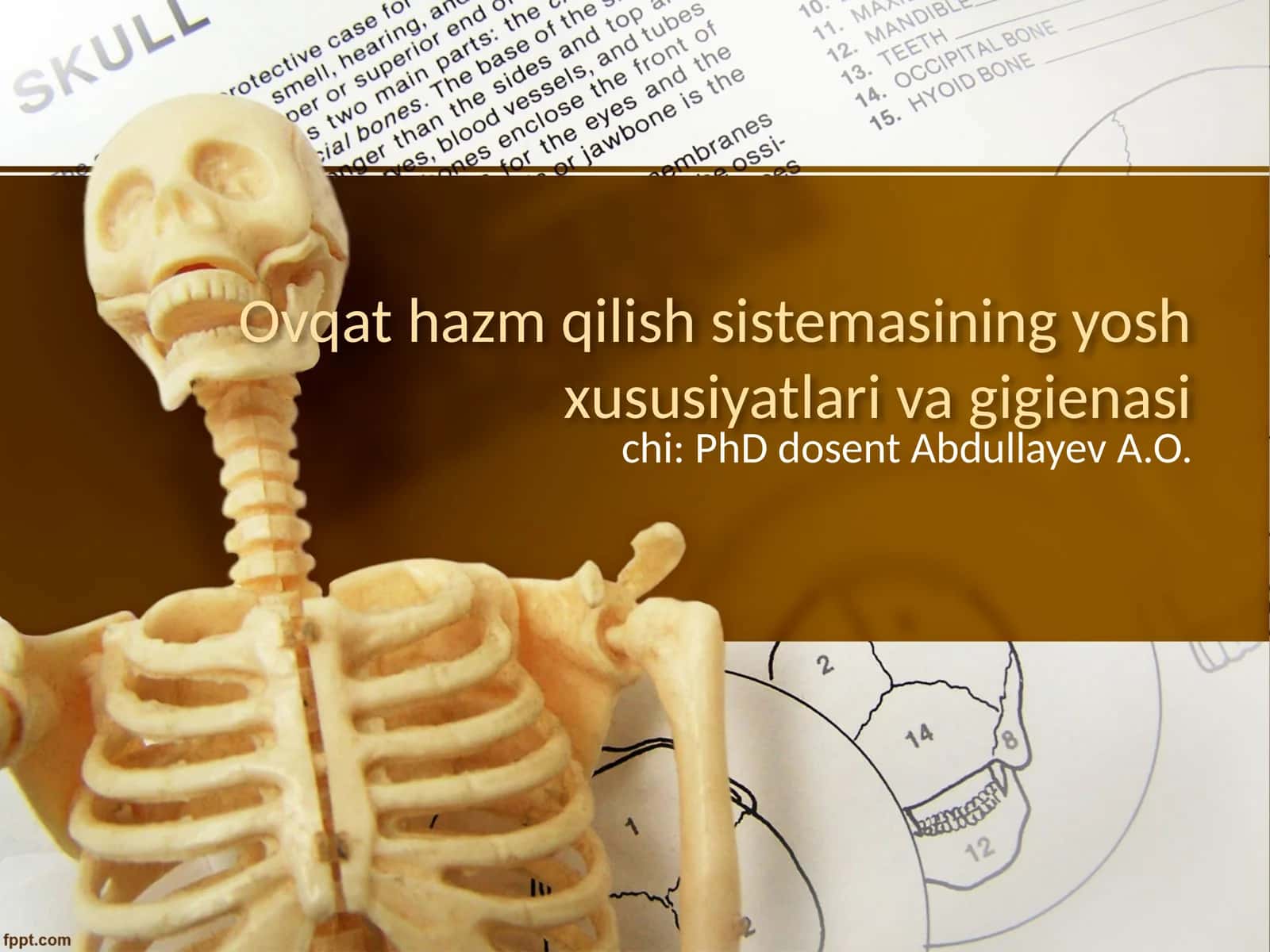 Ovqat hazm qilish sistemasining yosh xususiyatlari va gigienasi