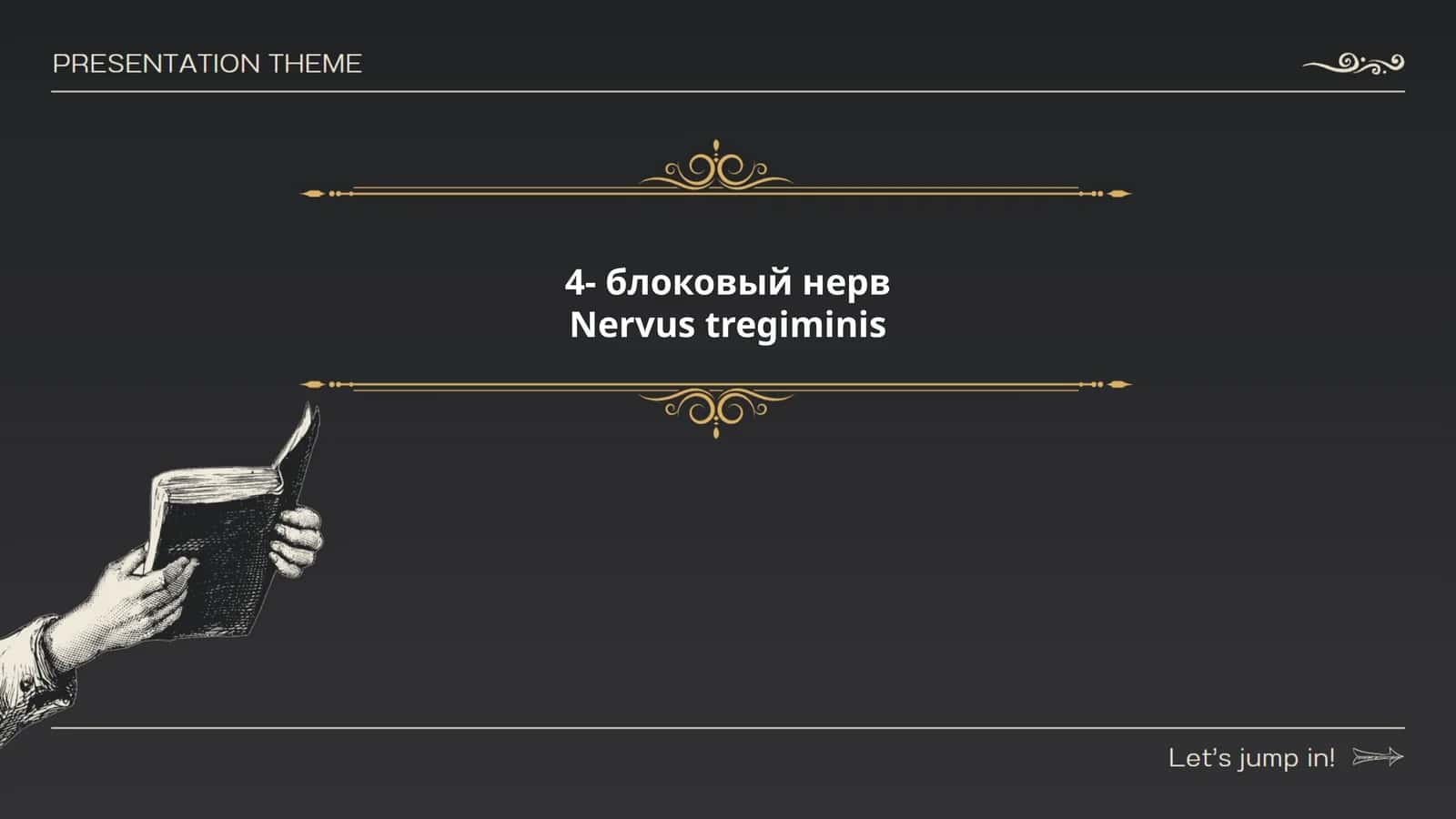 Четвёртый блоковый нерв (nervus trochlearis)