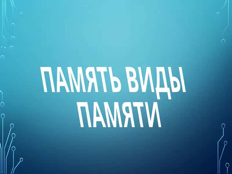 ПАМЯТЬ ВИДЫ