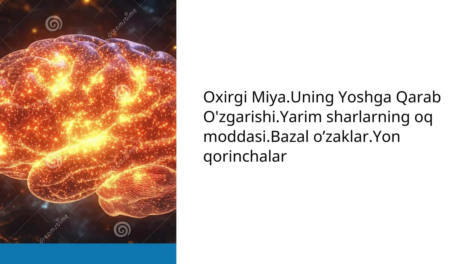 Oxirgi Miya