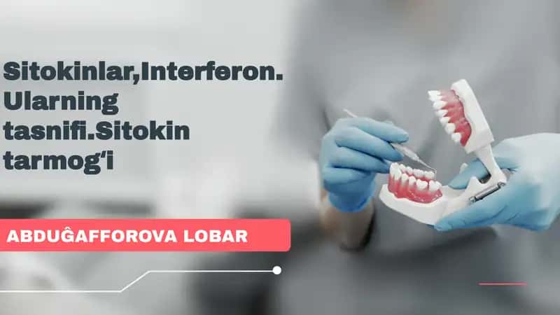 Sitokinlar,Interferon.Ularning tasnifi.Sitokin tarmogʻi