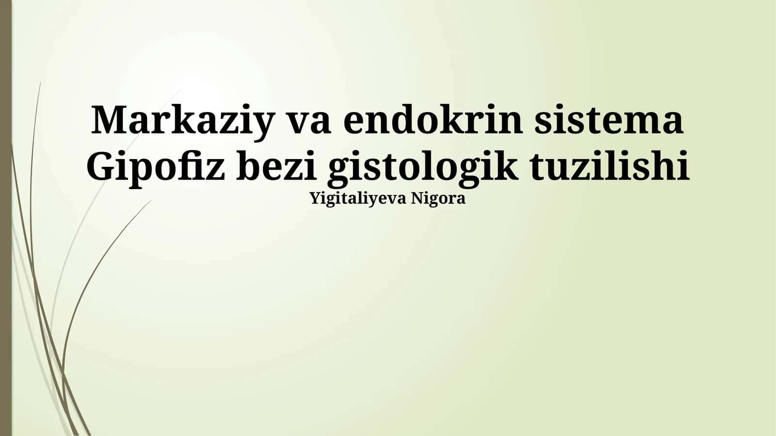 Markaziy va endokrin sistema Gipofiz bezi gistologik tuzilishi