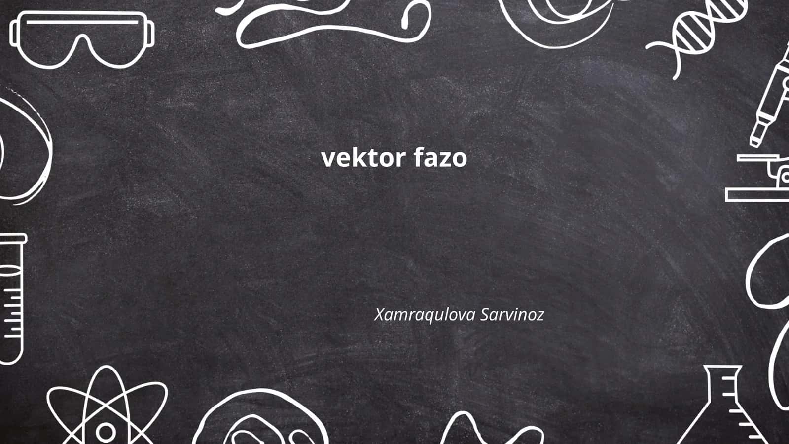 Vektor fazo