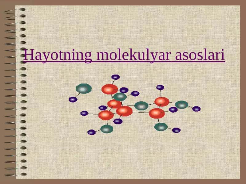 Hаyotning molekulyar asoslari
