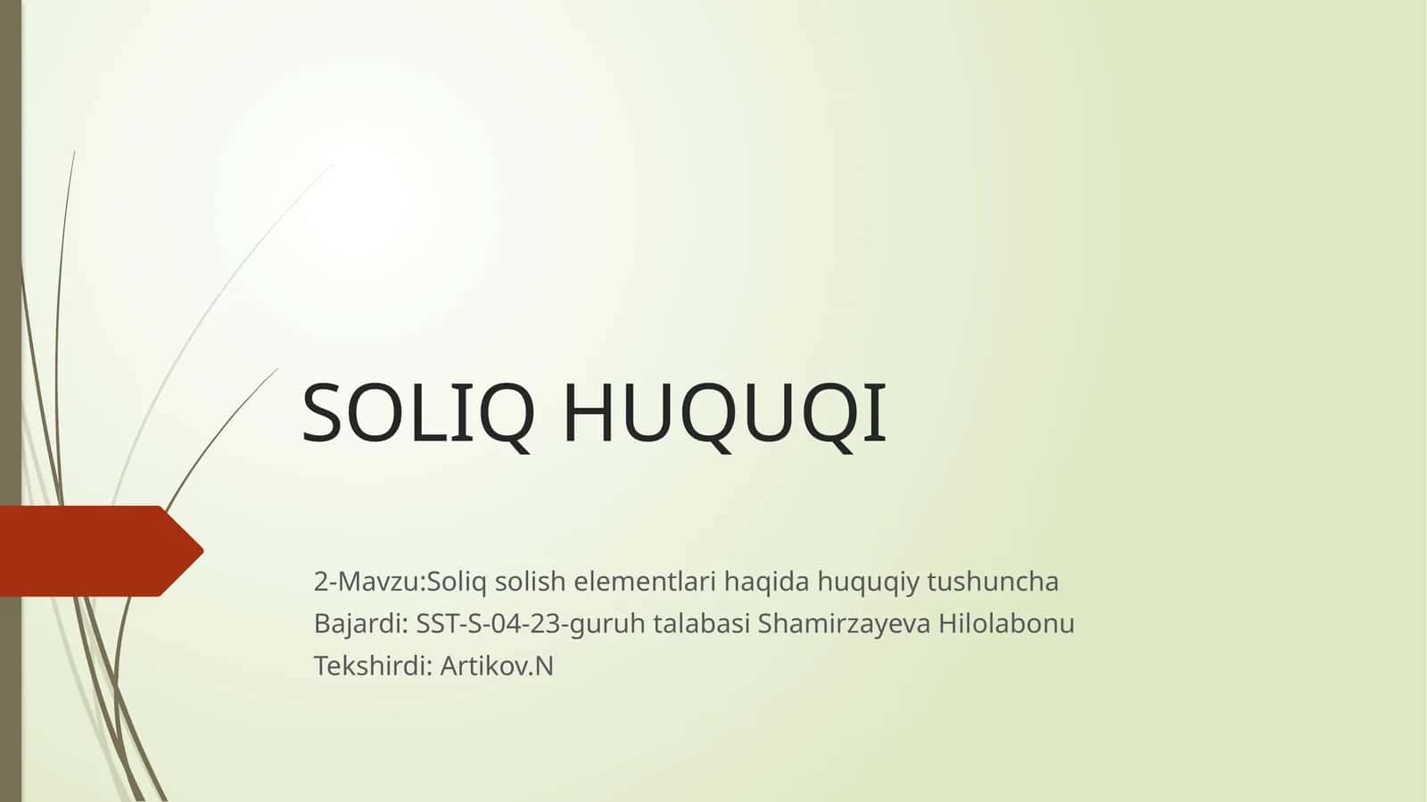 Soliq huquqi