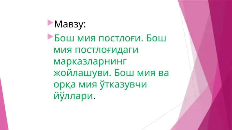 Бош мия постлоғи. Бош мия постлоғидаги марказларнинг жойлашуви. Бош мия ва орқа мия ўтказувчи йўллари